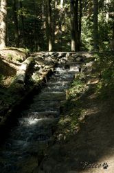 01_IMG_0015.jpg