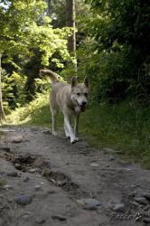 02_IMG_0028.jpg