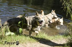 02_IMG_0038.jpg