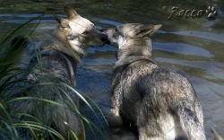 02_IMG_0055.jpg