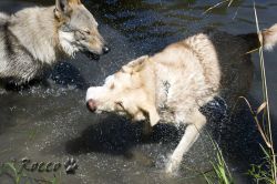 02_IMG_0067.jpg