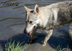02_IMG_0071.jpg