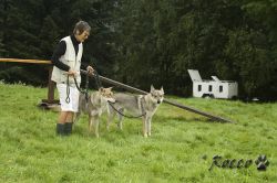 03_IMG_0046.jpg