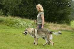 03_IMG_0050.jpg