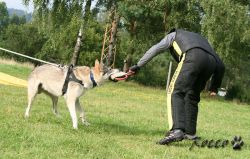 03_IMG_0140.jpg