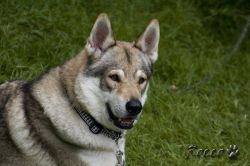 04_IMG_0006.jpg