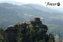 04_IMG_0046.jpg