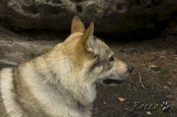 04_IMG_0063.jpg