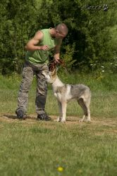 05_IMG_0087.jpg