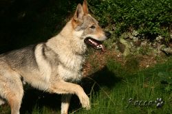 05_IMG_0189.jpg