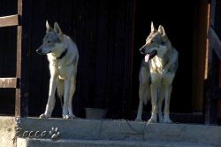 05_IMG_0280.jpg