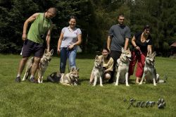 06_IMG_0008.jpg
