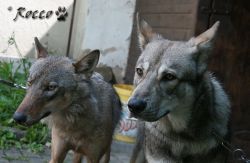 06_IMG_0044.jpg