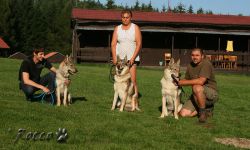 06_IMG_0128.jpg