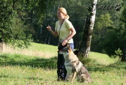 07_IMG_0003.jpg