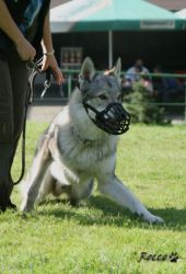 07_IMG_0006.jpg