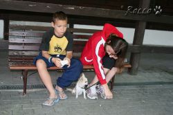 07_IMG_0044.jpg