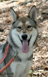 07_IMG_0048.jpg