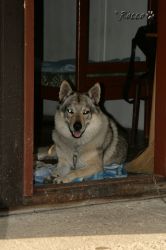 07_IMG_0076.jpg