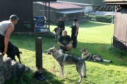 08_IMG_0084.jpg