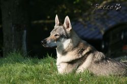 08_IMG_0090.jpg