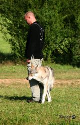 08_IMG_0099.jpg
