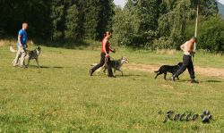08_IMG_0121.jpg