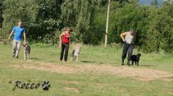 08_IMG_0122.jpg