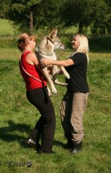 08_IMG_0136.jpg