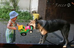 08_IMG_0224.jpg