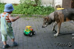08_IMG_0242.jpg