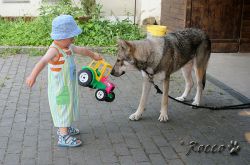 08_IMG_0245.jpg
