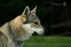 08_IMG_0264.jpg