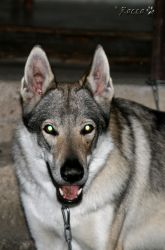 08_IMG_0279.jpg