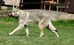 09_IMG_0309.jpg
