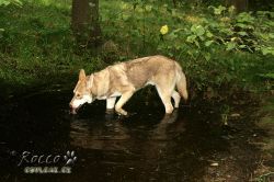 09_IMG_0342.jpg