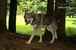 09_IMG_0354.jpg