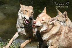 09_IMG_0379.jpg