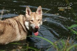 09_IMG_0396.jpg