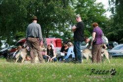 IMG_2154.jpg