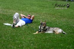IMG_2171.jpg