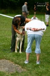 IMG_2172.jpg