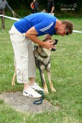 IMG_2198.jpg