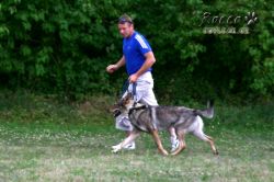 IMG_2203.jpg