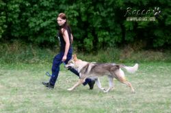 IMG_2215.jpg
