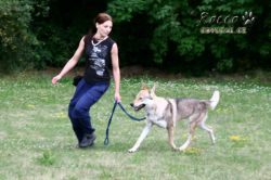 IMG_2219.jpg