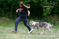 IMG_2232.jpg
