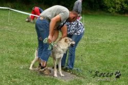 IMG_2244.jpg