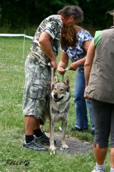 IMG_2253.jpg