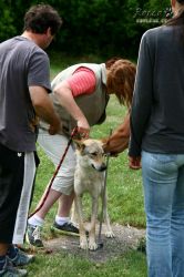IMG_2258.jpg